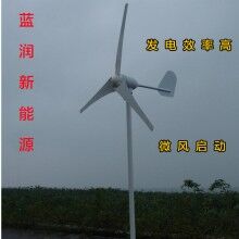 山東藍潤家用風(fēng)力發(fā)電機