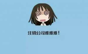 蕪湖公司注銷材料都有哪些流程是什么？