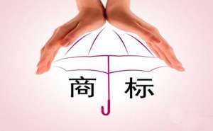 蕪湖繁昌區(qū)商標(biāo)轉(zhuǎn)讓的條件是什么