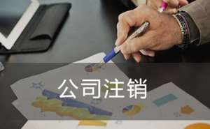 蕪湖繁昌區(qū)企業(yè)零申報的公司注銷多少錢