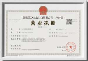 蕪湖電商執(zhí)照注冊(cè)要求：網(wǎng)絡(luò)地址能用嗎？